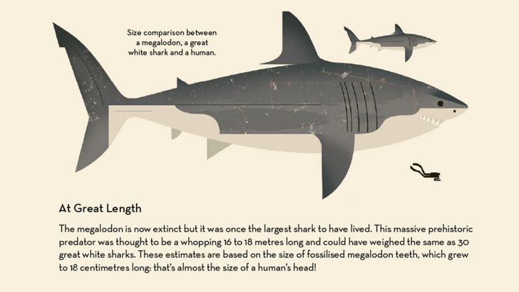 Sharks_Megalodon