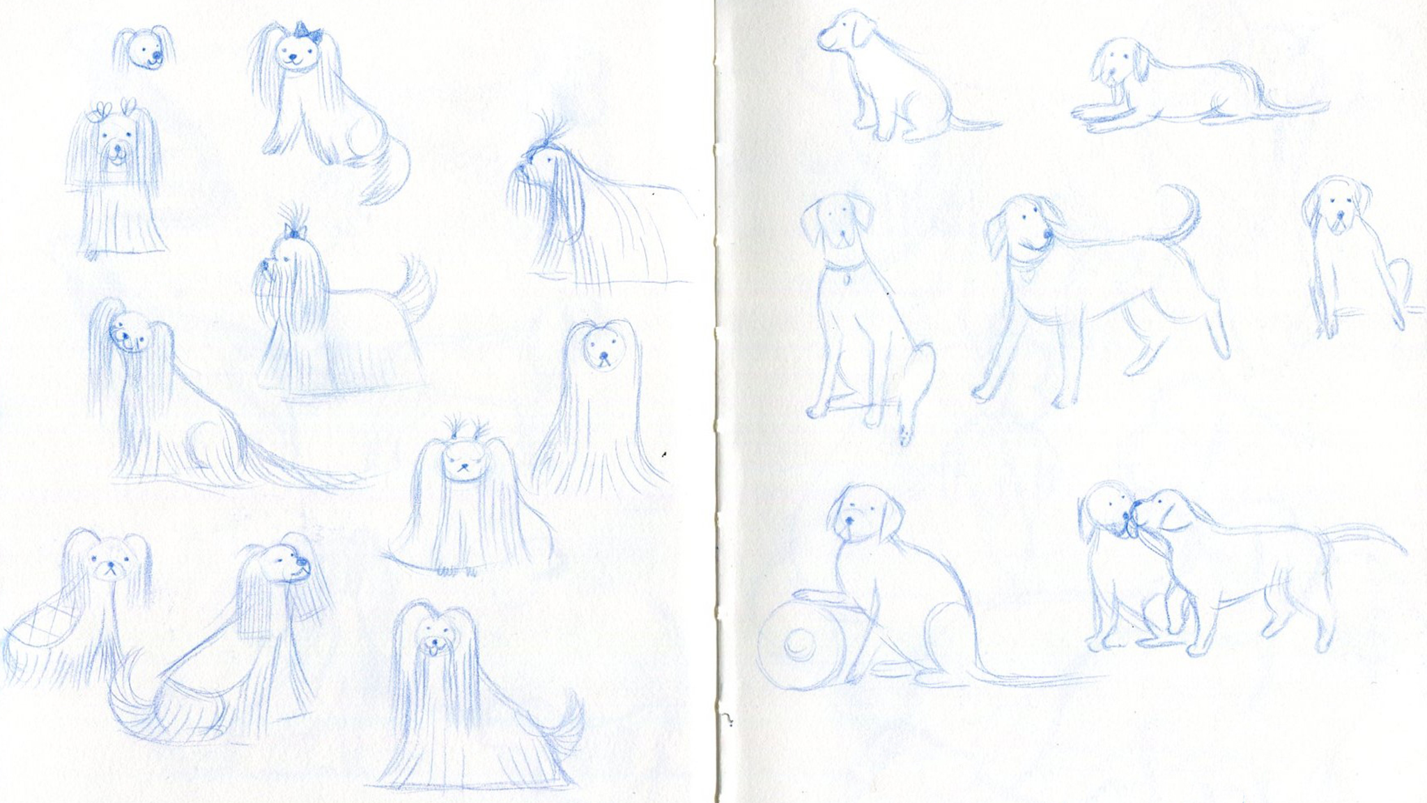 DogsSketches