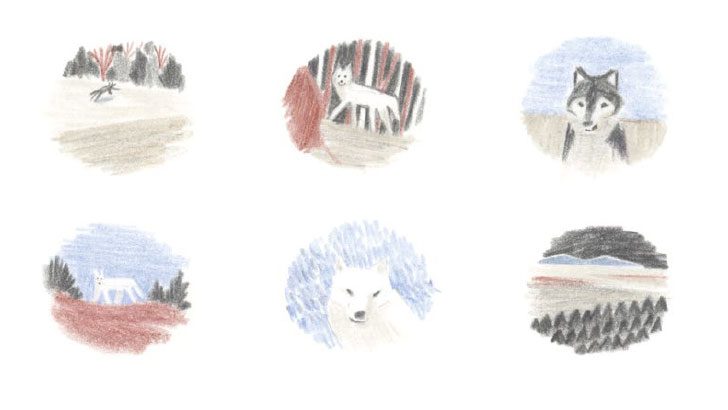 Nobrow_Blog_Wolves