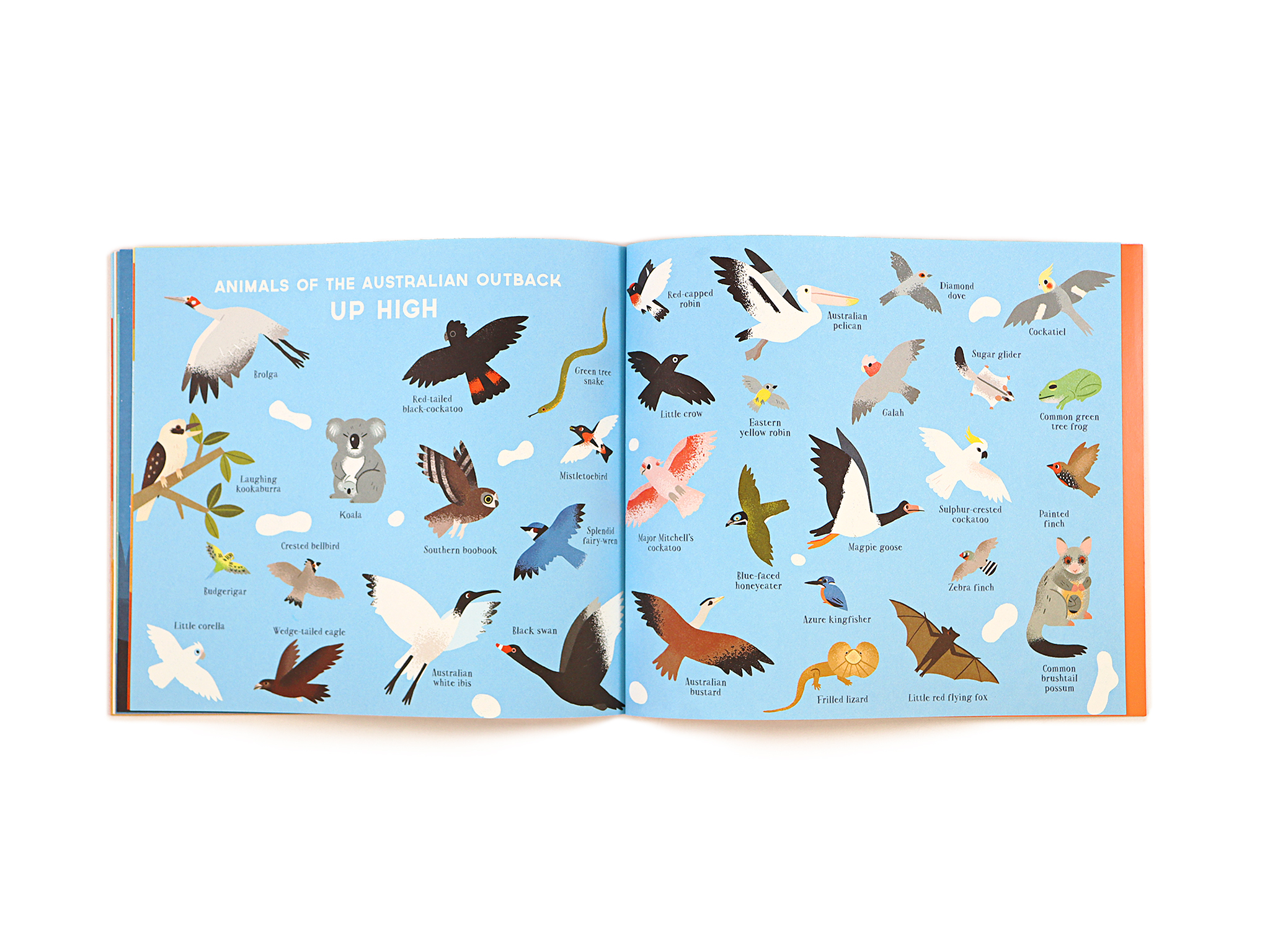 One Day on Our Blue Planet … in the Outback (Paperback) – Nobrow Press
